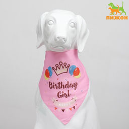 Платок для животных С днём рождения, 15 х 12 х 1 см, розовый