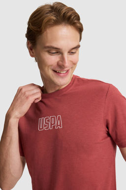 Erkek Vi_ne Regular Fit Bisiklet Yaka Ti__rt - U.s. polo assn фото 2