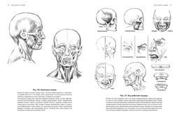 Рисование головы и рук. Лумис Э. - Колибри фото 2