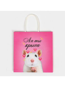 Цена за 2 шт. Пакет подарочный, упаковка, Ля ты, 22?22?11 см