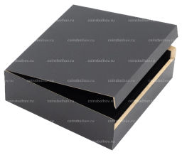 Футляр LUXOR для 1 монеты в капсуле QUADRUM LEUCHTTURM 365461