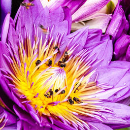 Большой, красивый двусторонний платок с рисунком в стиле арт-декои необычной текстурой ткани. - Tantino фото 2