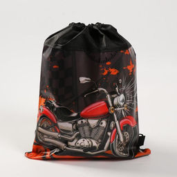 Сумка для обуви Мотоцикл,непромокаемое полотно 43х33х0,5 см - Artfox study фото 3