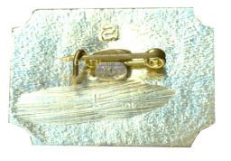 Значок Санкт-Петербург дворец-музей А.Д.Меншикова