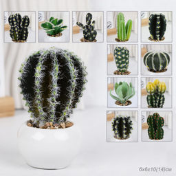 Цветочная композиция Кактус / WER-10 /уп 12/192/ микс