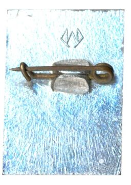 Значок Общество охраны памятников истории и культуры РСФСР