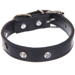 Цена за 3 шт. Ошейник для собак и кошек со стразами "На стиле", цвет черный, 2см, размер XS, 20*25см (лейбл)