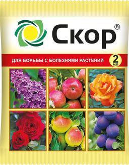 ВХ Скор 1 мл от парши на плодовых
