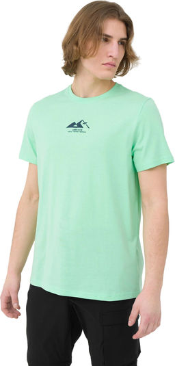 Футболка мужская