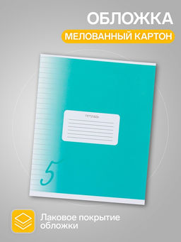Комплект тетрадей из 10 штук, 24 листа в линию Calligrata «Пятёрка», обложка мелованный картон, ВД-лак, блок офсет, 5 видов по 2 штуки