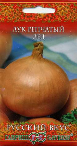 Дед лук репчатый 1гр (г)