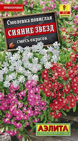 Смолевка Сияние звезд, смесь сортов