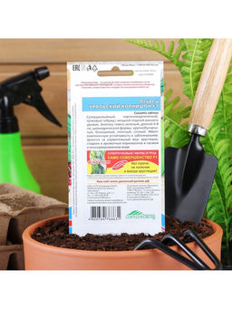 Набор семян Огурец "Уральский корнишон" F1, раннеспелый, партенокарпический, 5 шт.