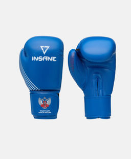 Перчатки боксерские INSANE RBF IN25-BG600, синий, 12 oz