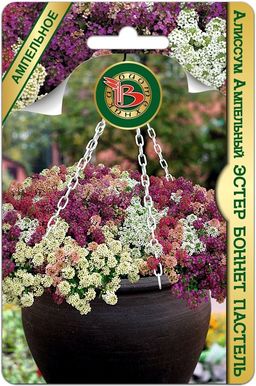 Алиссум Эстер Боннет Пастель