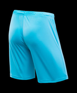 Шорты игровые JOGEL CAMP Classic Shorts, бирюзовый/белый, детский  фото 2