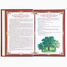 Родословная книга новогодняя «Дед Мороз» 17×2×23.7 см