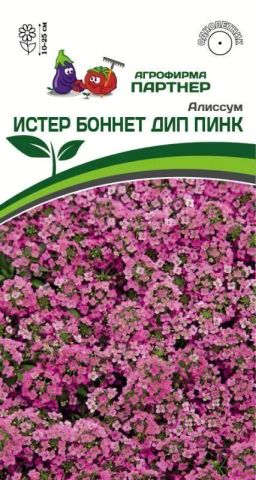 Алиссум морской Истер Боннет Дип Пинк