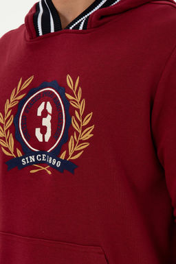 Мужской бордово-красный свитшот Неожиданная скидка в корзине - U.s. polo assn фото 7