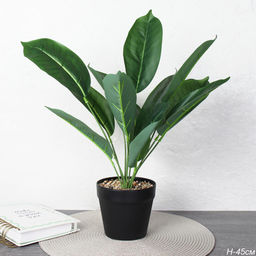 Цветочная композиция Фикус 45 см / ZH-007 /уп 48/ - Галеонтрейд фото 3