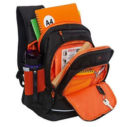 RB-450-3 Рюкзак школьный - Grizzly фото 6