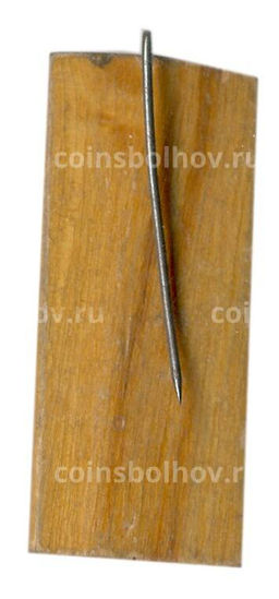 Значок Кижи