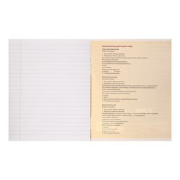 Тетрадь предметная Комикс Аниме 48 листов в линейку Русский язык, со справочным материалом, обложка мелованный картон, УФ-лак (полный), блок офсет - Calligrata фото 3