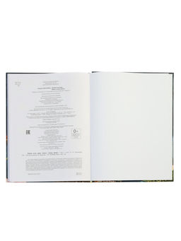 Новый атлас мира «Карты, страны, флаги», 96 стр.