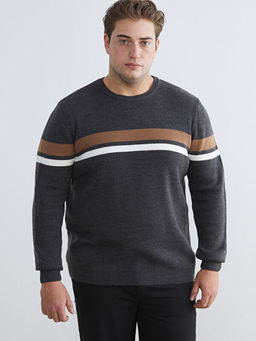 Bisiklet Yaka ?izgili Erkek Triko Kazak