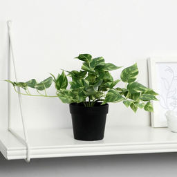 Искусственный цветок в горшке Сциндапсус, 18?17 см