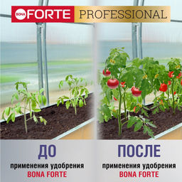Компл. мин. удобр. "Bona Forte" Для комн.растений,рассады,саженцев гранулир.пролонгир., ведро1л