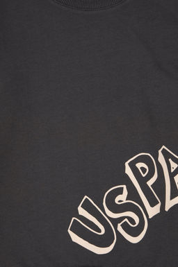 Базовый свитшот для мальчика антрацитового цвета Неожиданная скидка в корзине - U.s. polo assn фото 3
