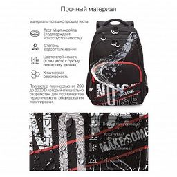 RU-230-1 Рюкзак - Grizzly фото 22