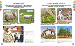 Полезные машины и животные фермы. Гийоре М.-Р. - Махаон фото 3