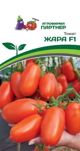 Томат Жара