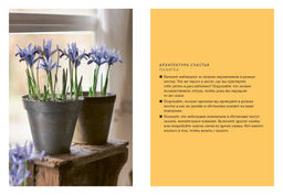 Уютная психология. Сборный комплект из 3-х книг с шоппером в т.у.. Викинг М., Морен К., Морен М.,... - Колибри фото 6