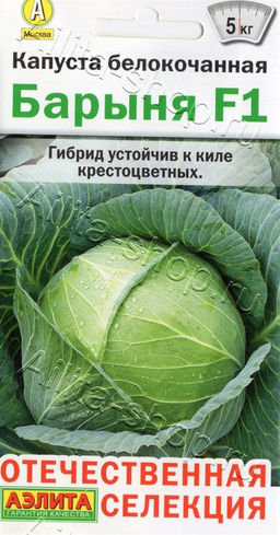 Капуста б/к Барыня F1 15шт. (Аэлита)