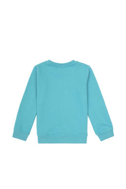 Erkek _ocuk Mint Bisiklet Yaka Sweatshirt - U.s. polo assn фото 2