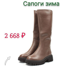 02-FL655-2M BROWN Сапоги зимние женские (натуральная кожа, натуральный мех (еврозима))