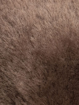 сапоги
								BELWEST  фото 6