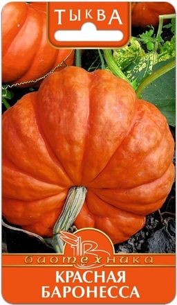 Тыква Красная Баронесса