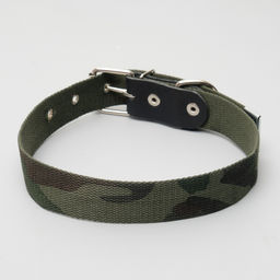 Ошейник брезентовый однослойный Камуфляж, 72 х 3,5 см, ОШ 45-60 см - Пижон фото 2