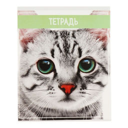 Комплект тетрадей из 5 штук (4 разные + 1 повторяющаяся), 36 листов в клетку Calligrata "Кошки", обложка мелованная бумага, блок №2, белизна 75% (серые листы)