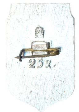 Значок Запорожье