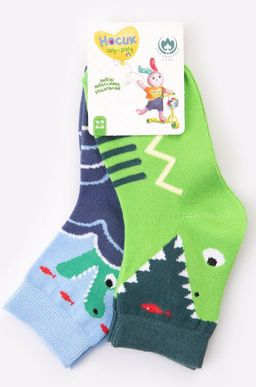 Носки для мальчика 2 пары Борисоглебский Трикотаж