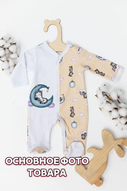 Комбинезон (инт) для девочки Арт. 42204ДИПб Набивка