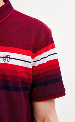 Футболка-поло мужская в полоску F311-07-601 бордовая