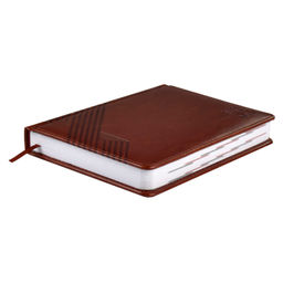 Ежедневник датированный 2024 ESCALADA, А6+, 176 л., арт. 63787/ 20 САРИФ КОРИЧНЕВЫЙ  фото 2