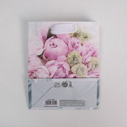 Цена за 3 шт. Пакет подарочный ламинированный, упаковка, Радости!, S 12?15?5.5