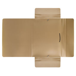 Expert Complete PRISMA Папка на резинке A4 600 мкм 35 мм эффект 3D 5 шт. золотой EC210400028